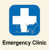 Emergency Clinic