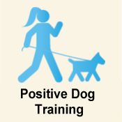 Positive Dog Training